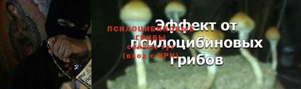 прущая мука Ельня