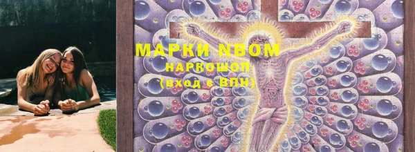 прущий лед Дмитриев