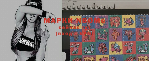 мдпв Дмитров