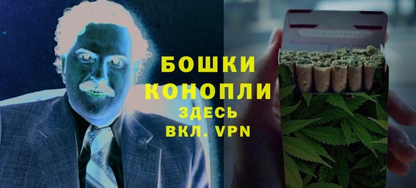 мдпв Дмитров