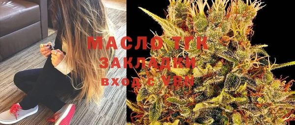прущий лед Дмитриев