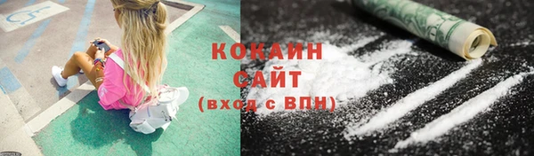 прущий лед Дмитриев