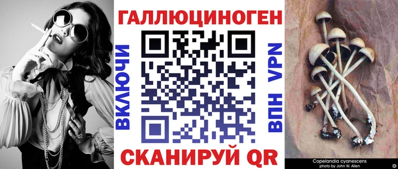 Псилоцибиновые грибы Psilocybe  Заволжск 