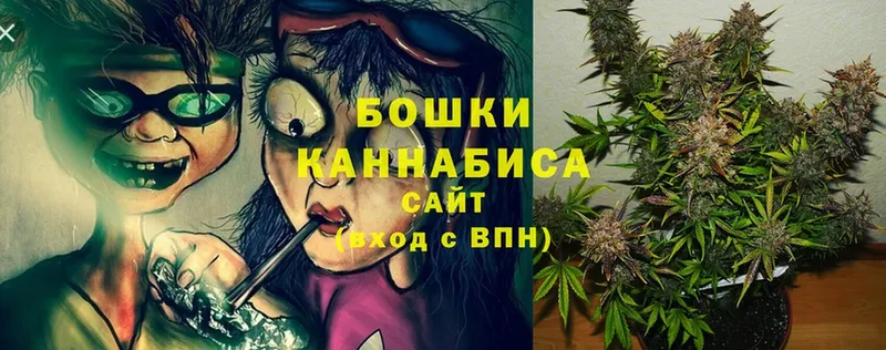 Каннабис OG Kush  Заволжск 